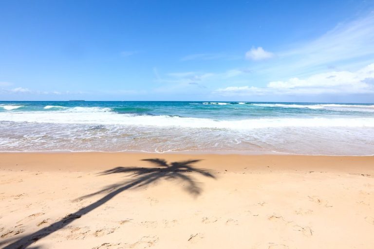 Three Coconut Trees Beach